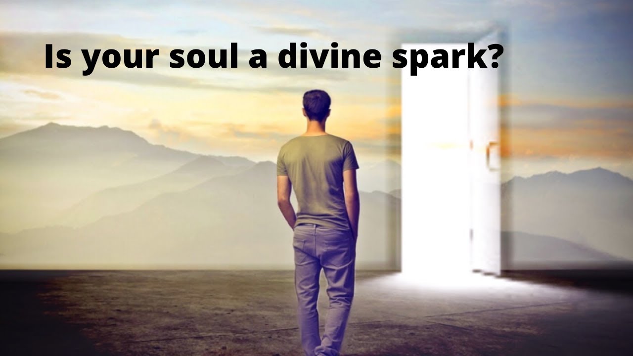 Your soul: a Divine spark? Rabbi Tovia Singer responded.