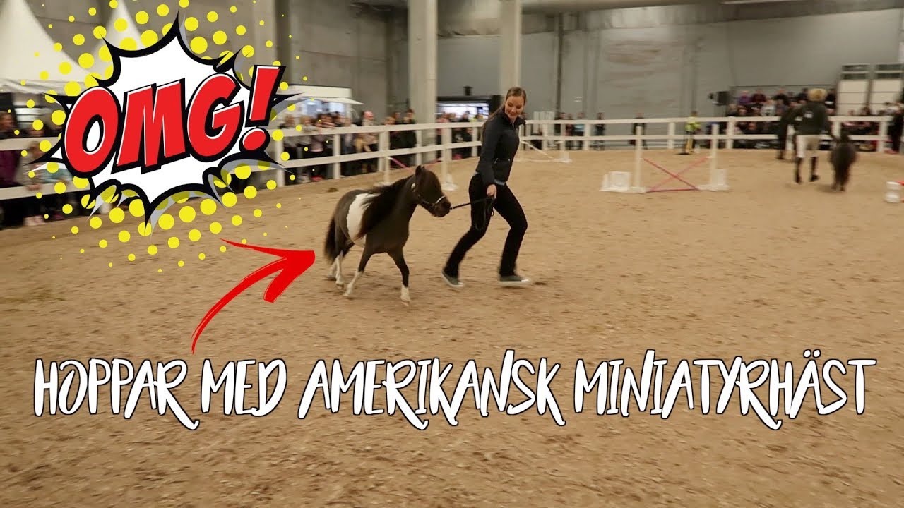 ☆SIHS-VLOGG #4☆ Hoppar med en Amerikansk Miniatyrhäst 😱