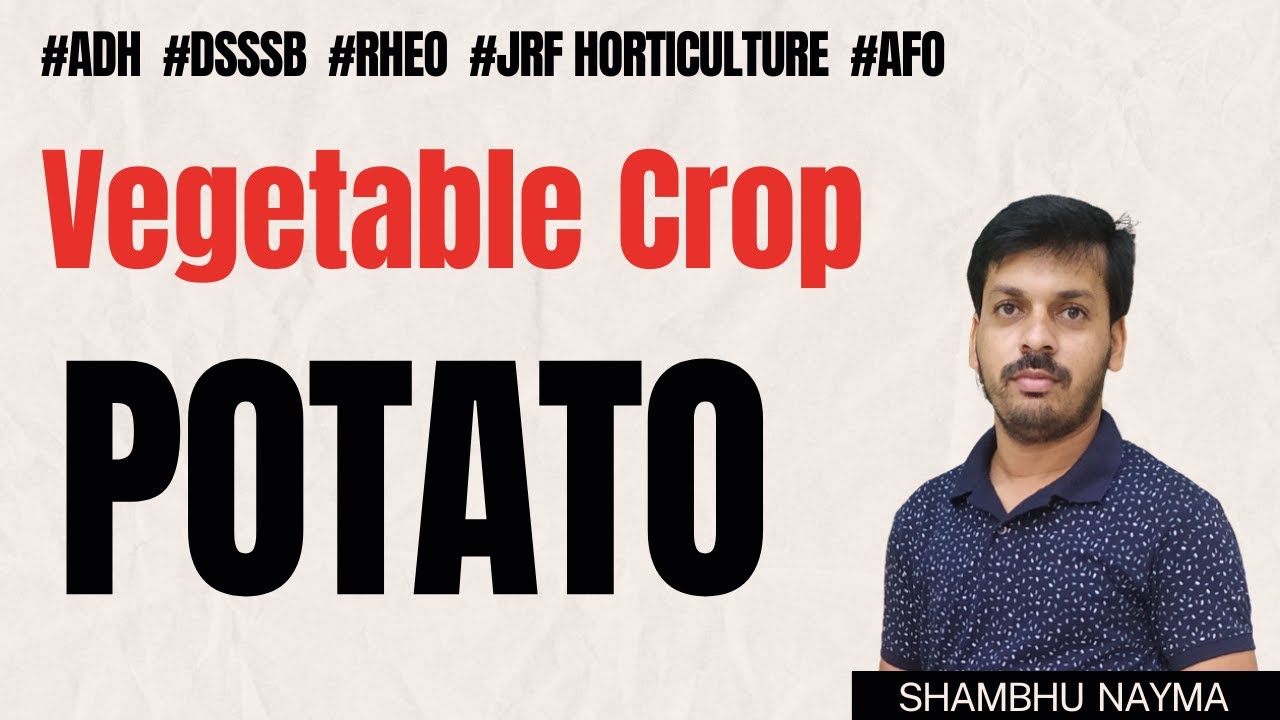 Potato || Most imp points on Potato || Potato for JRF Horticulture || Vegetable Crop