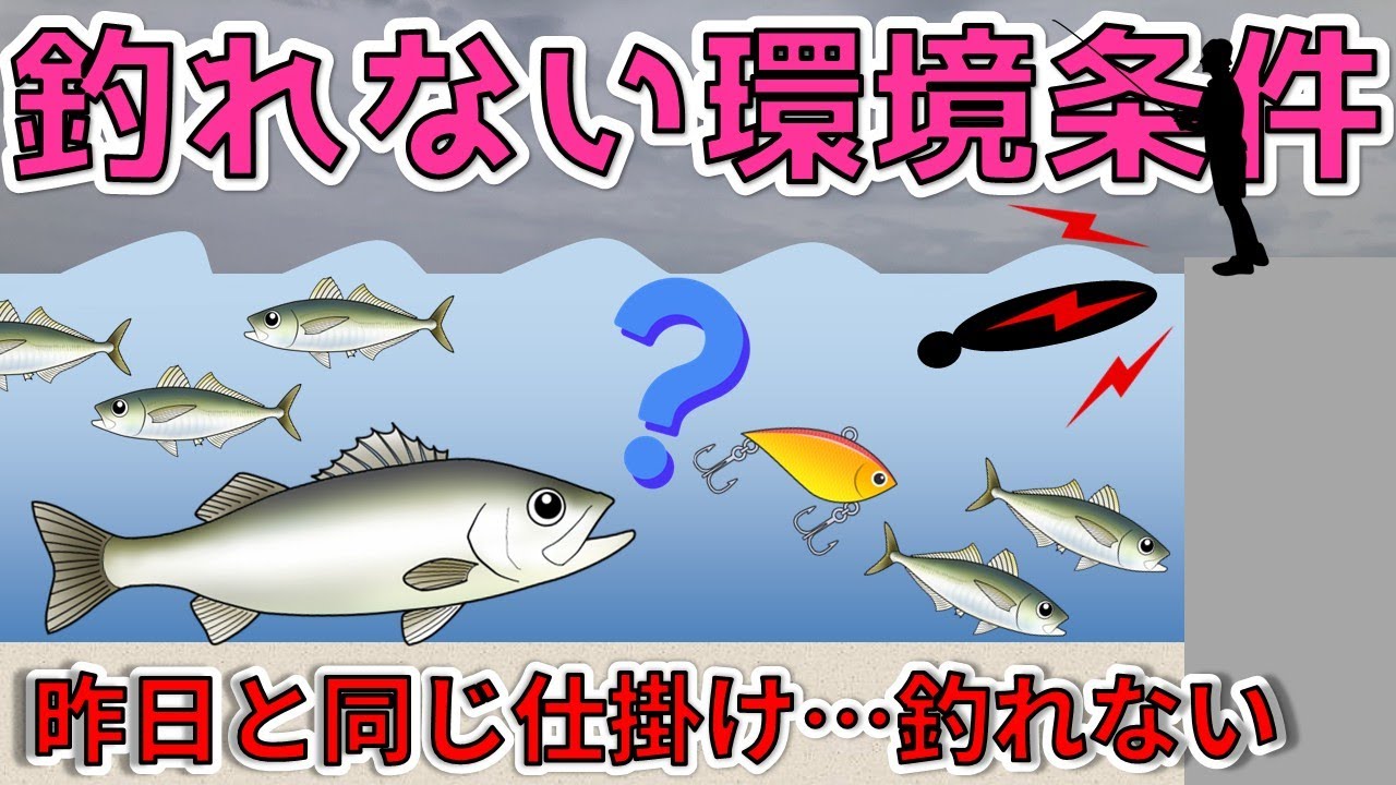 【魚が釣れない7つの環境的理由】自然条件から読み解く釣れない日の共通点