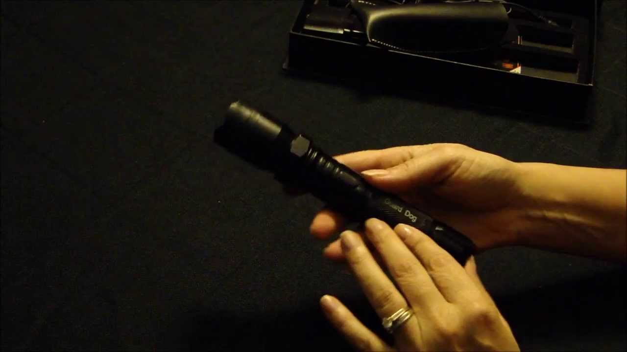 Femme Defenses reviews and features the Diablo 2 Stun Gun Flashlight