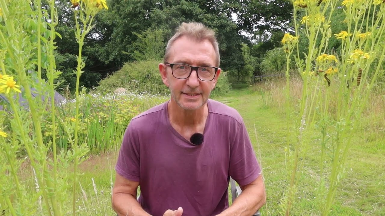 No More Beewashing! Why beekeeping doesn't help conserve bees.