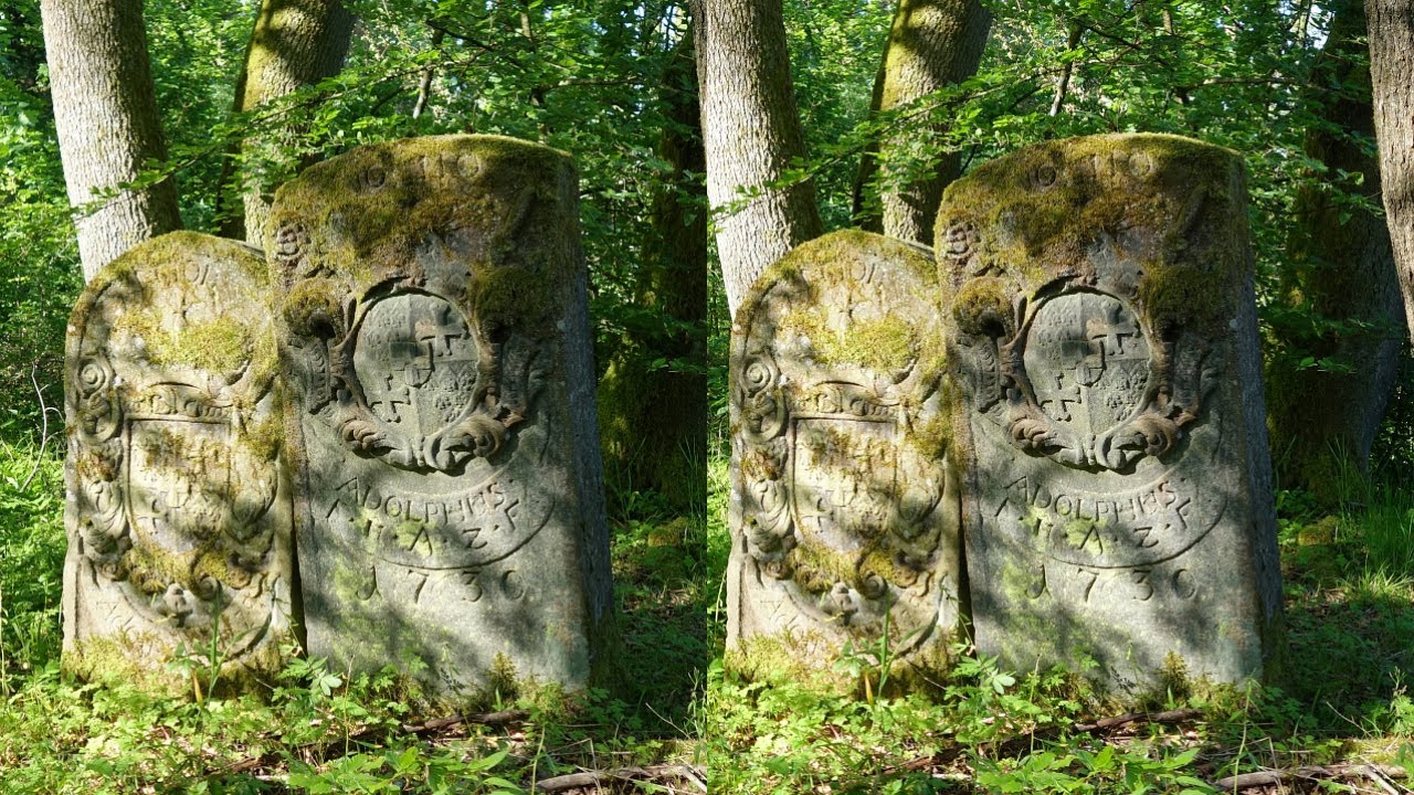 Grenzsteinweg Ratzerod Weiperz 3D 4K -  300 years old Border Stones in their natural environment