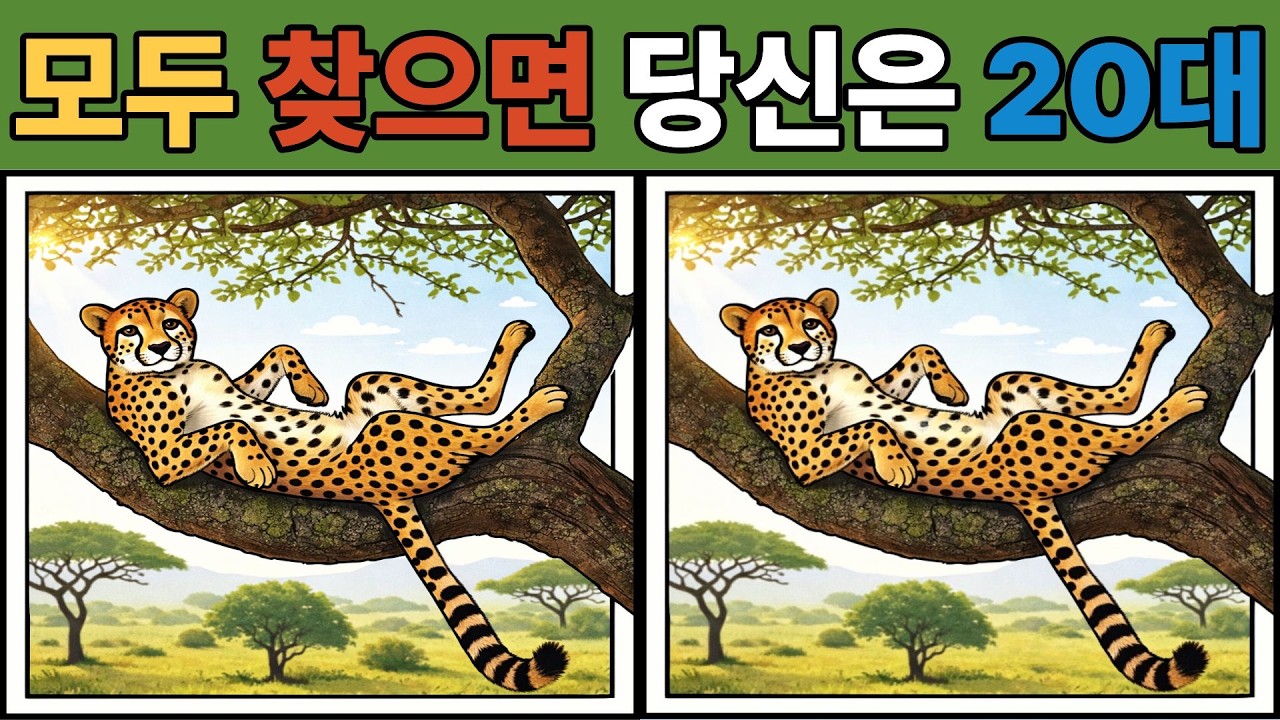 【다른그림찾기/치매예방】99%는 한곳을 못찾습니다【틀린그림찾기/두뇌운동/Find Difference/#0235】