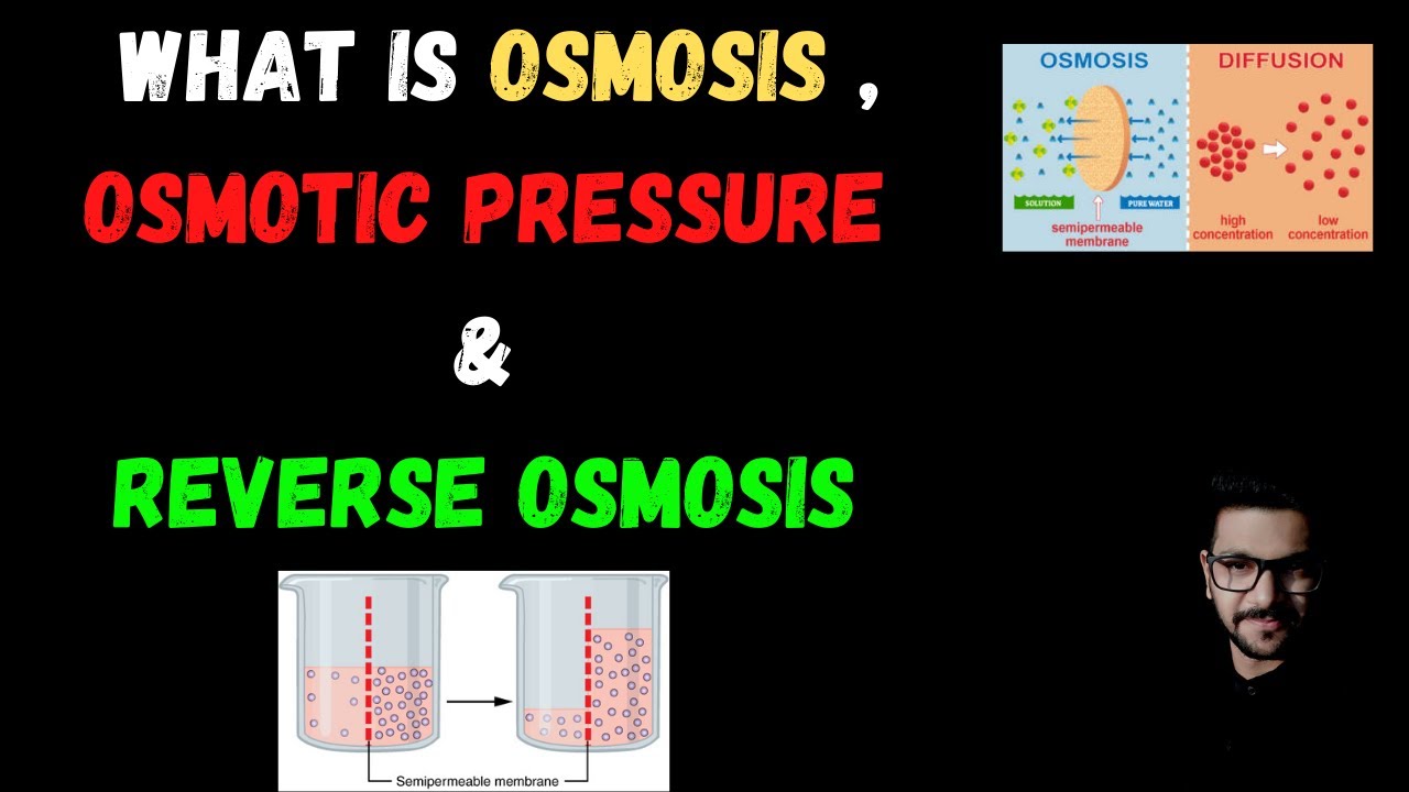 What  is Osmosis || What is Osmotic Pressure || What is Reverse Osmosis || What is Desalination