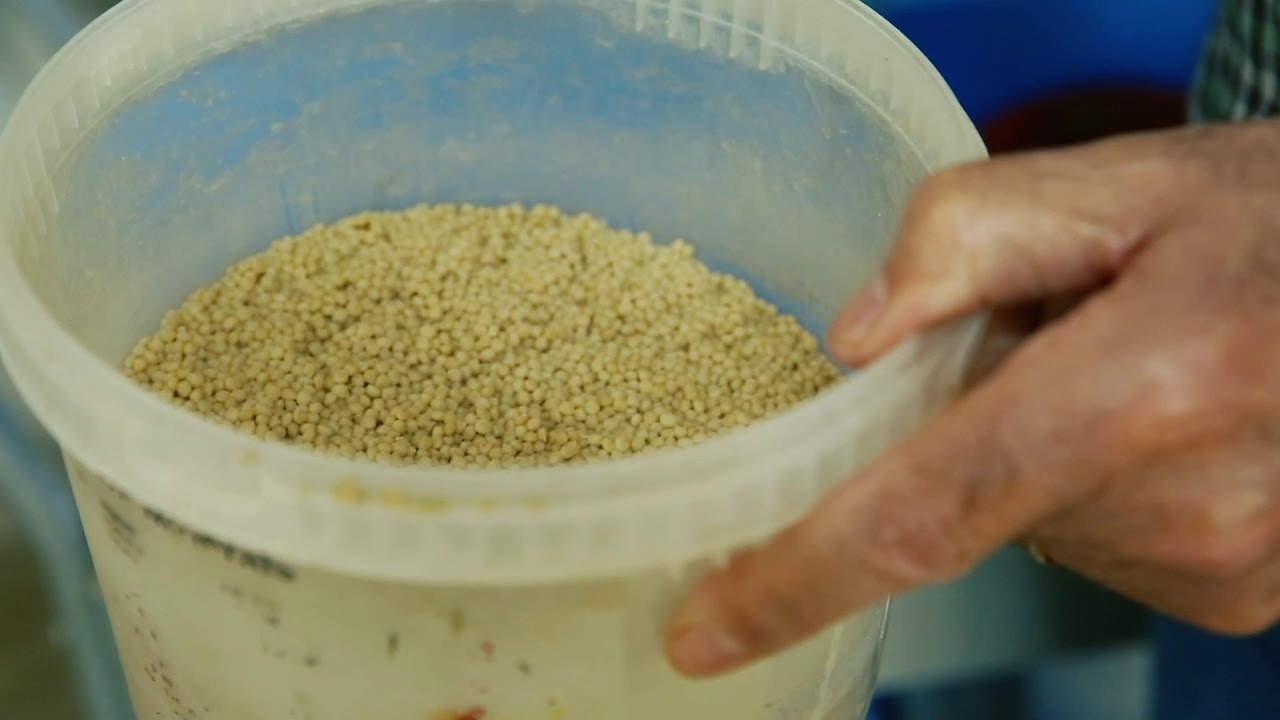Cómo preparar una buena pasta de cría.