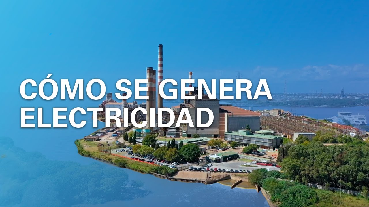 ¿Cómo funciona Enel Generación Costanera?