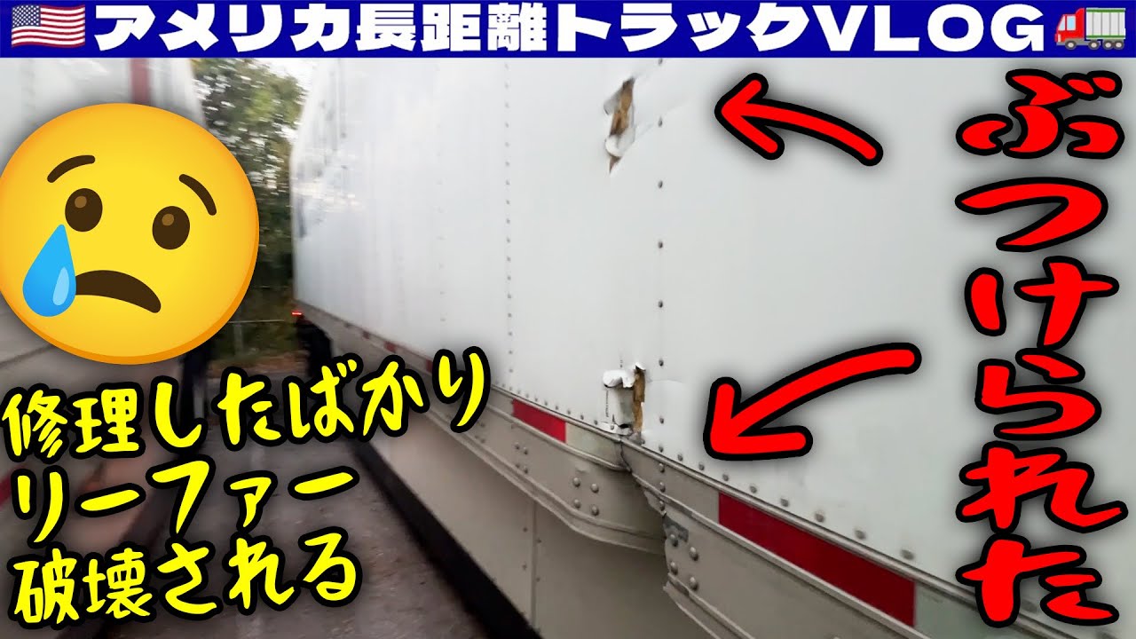 【フレーム破損】ぶつけられた！修理したばかりのリーファーが破壊される！トレーラーにヒアリが大量発生！荷積み拒否される！2024年10月24日 | 🇺🇸アメリカ長距離トラックVLOG🚚