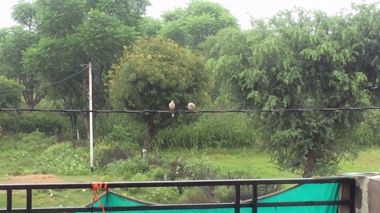 Nature waali Morning || Vlog #1 || Mohit Villain Films || MVF