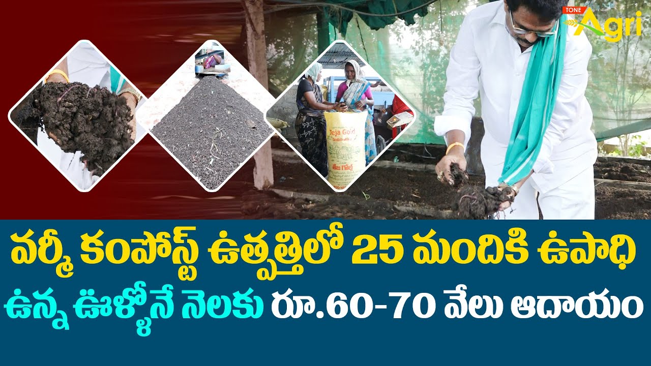 Vermicompost | వర్మీ కంపోస్ట్ ఉత్పత్తిలో ఉపాధి ఉన్న ఊళ్ళోనే నెలకు రూ.60-70 వేలు ఆదాయం..  Tone Agri