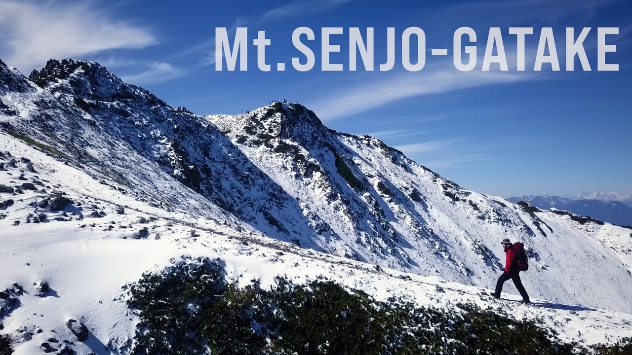 Hiking Mt. Senjo-gatake in Japan | 【南アルプス】白銀の仙丈ケ岳登山