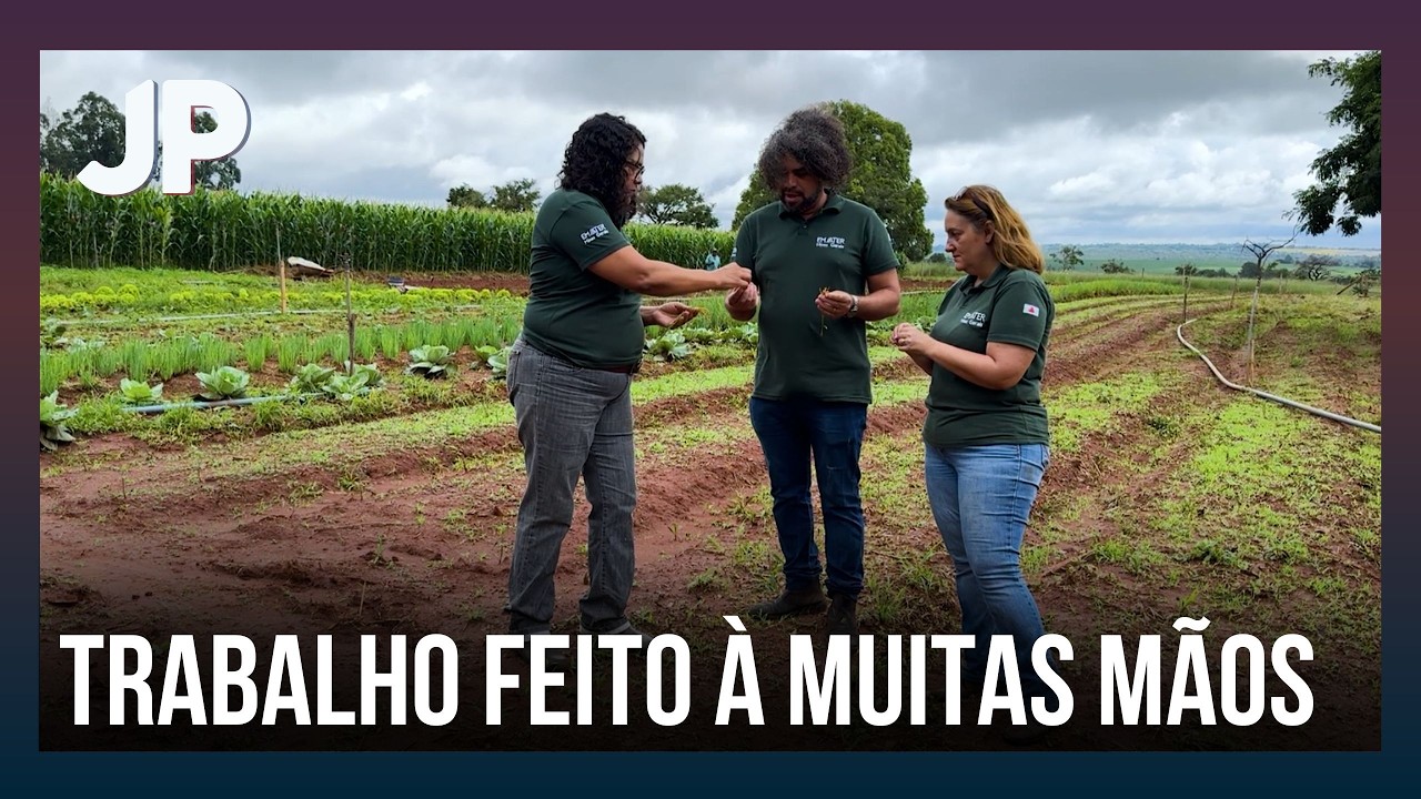 Projeto fortalece agricultura familiar com o resgate da cultura do arroz