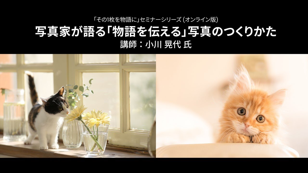 【写真家セミナー】小川晃代氏による「写真家が語る『物語を伝える』写真のつくりかた(ペット写真)｜Lightroom －アドビ公式－