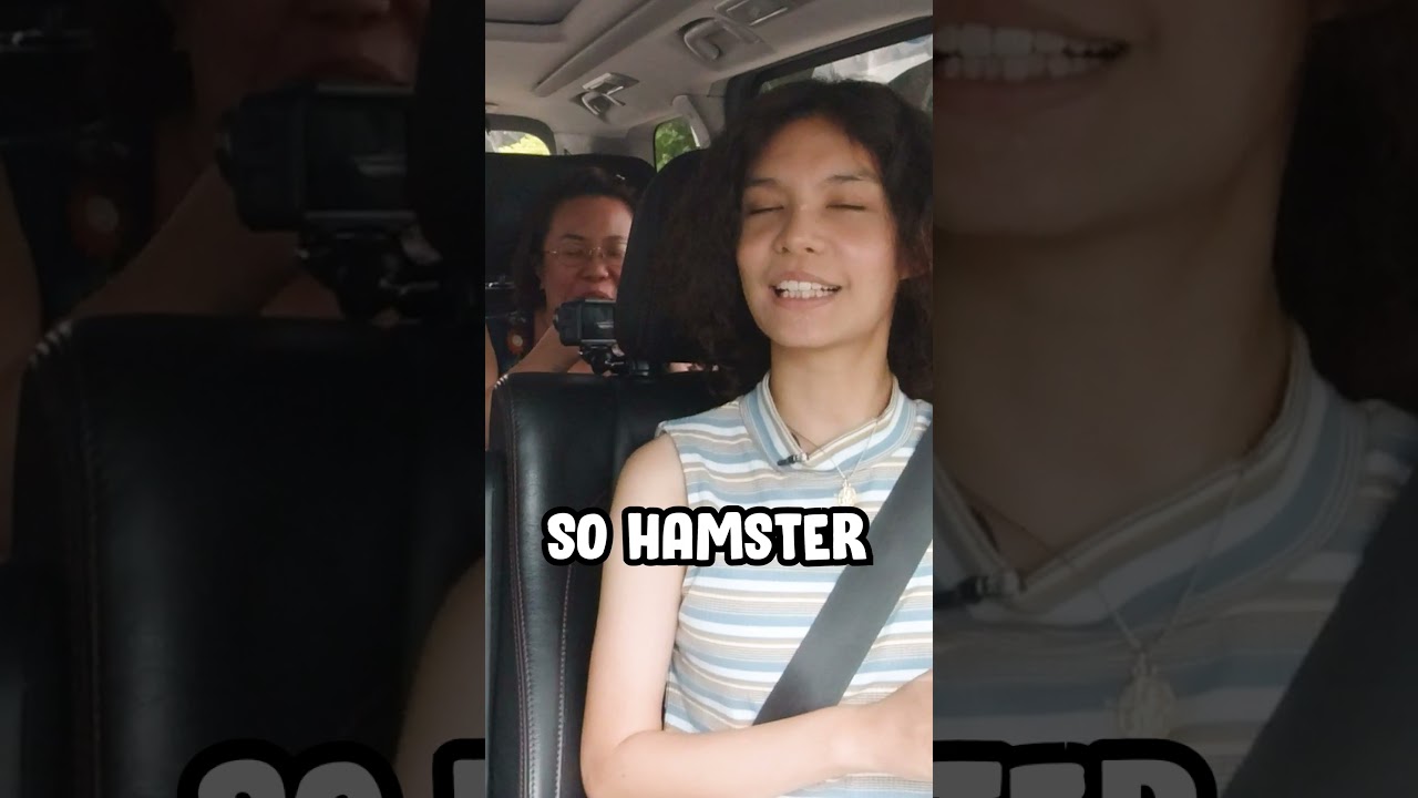 How much it cost to Cremate your Pet?  #trending #singapore #podcast