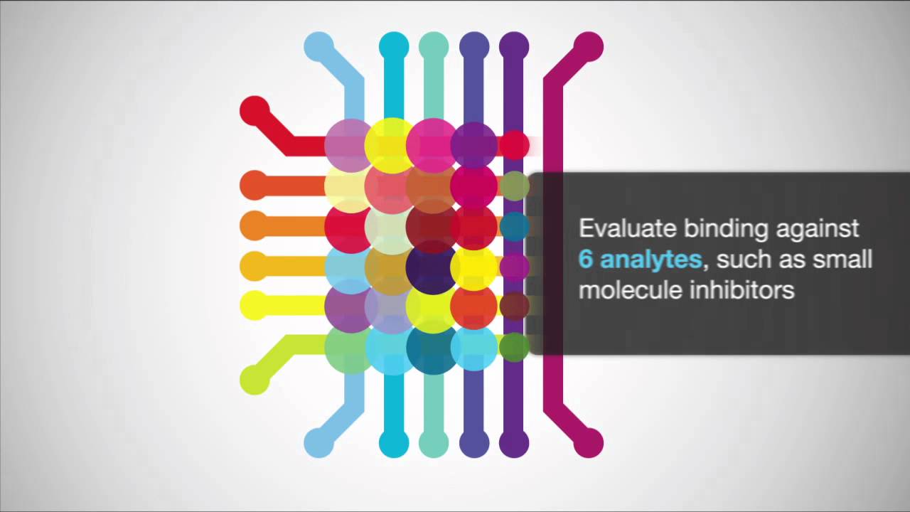 Versatile Protein Interaction Analysis with the ProteOn&trade; XPR36 System