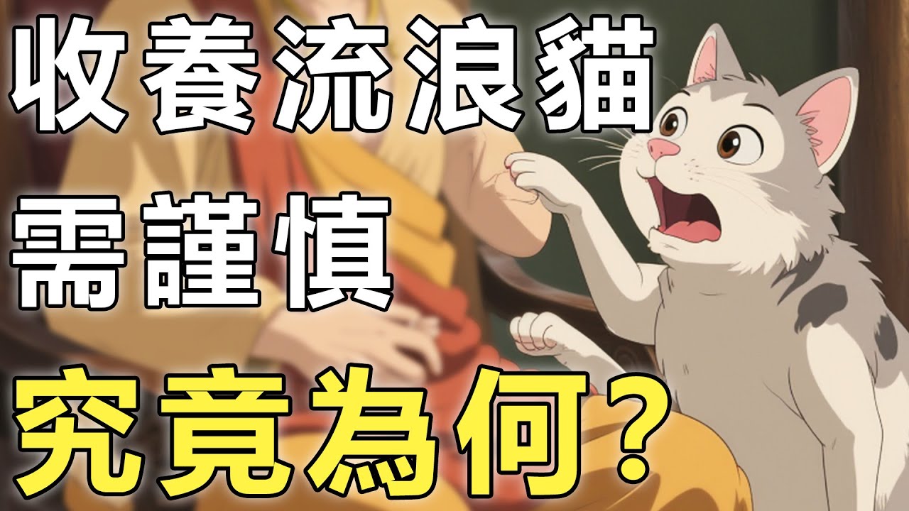 為何說收養流浪貓需謹慎？孟婆僅用一句話，道盡了貓咪前世因果未了！【因果|輪回|貓】