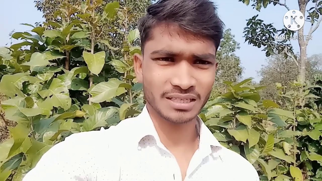 Private job profile 2021 #privatejob #berojgarhelp
