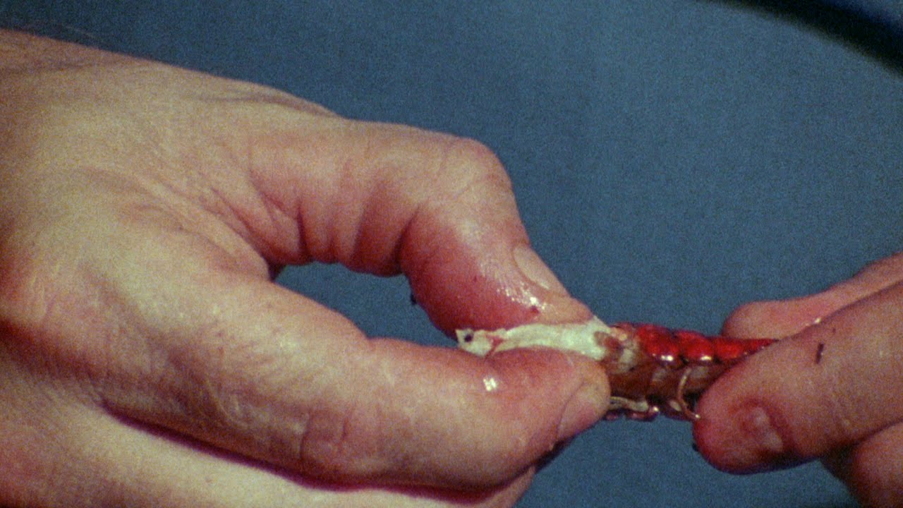 How to Eat a Crawfish - Always for Pleasure
