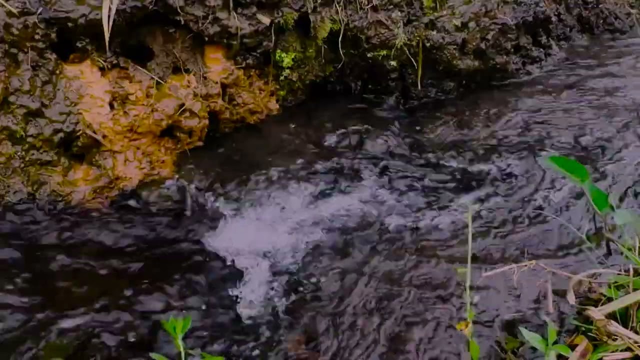 Seguimiento del flujo de agua en el río – Sonido de agua relajante | Alivio de la ansiedad