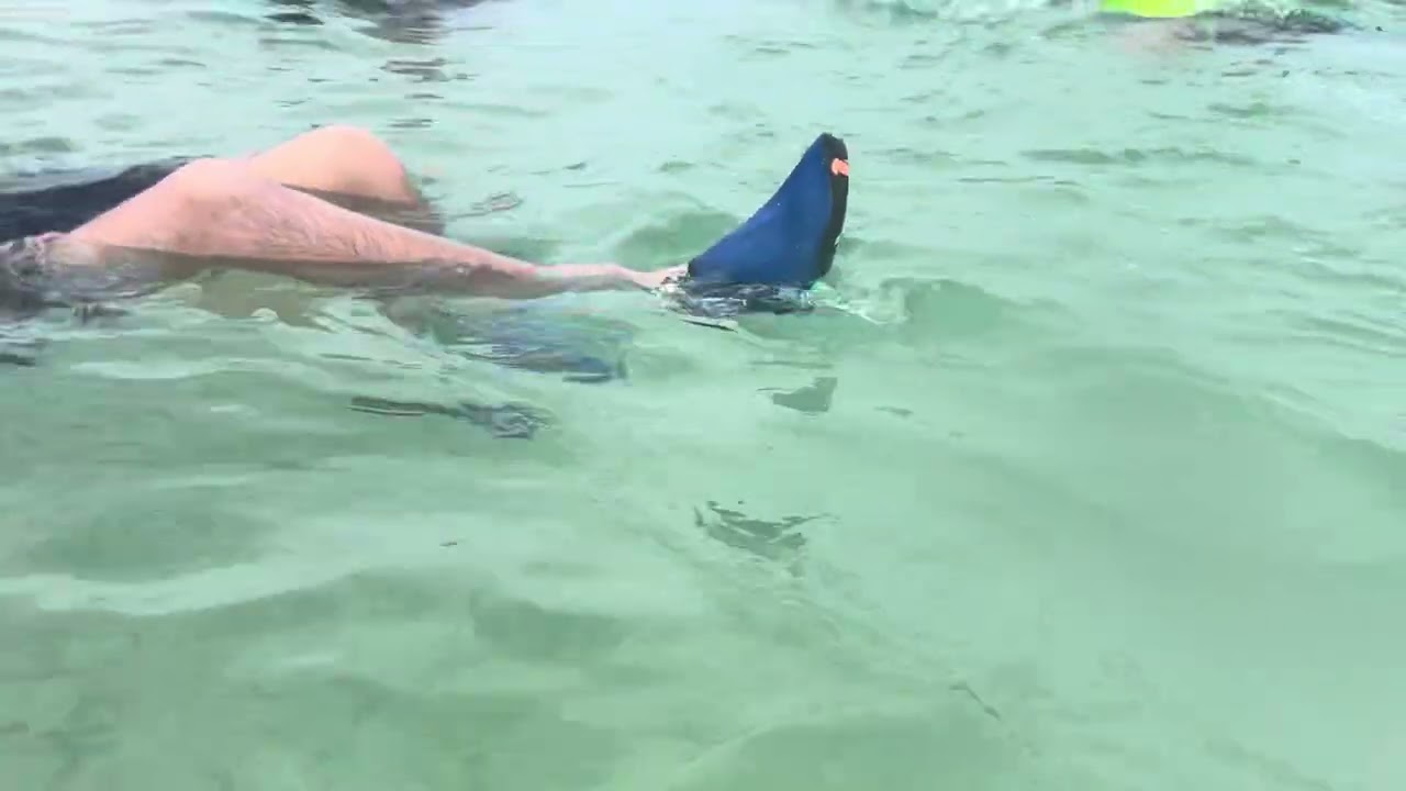 Snorkelling @ Khai island, Phuket | Tuifinriat sangha te nen