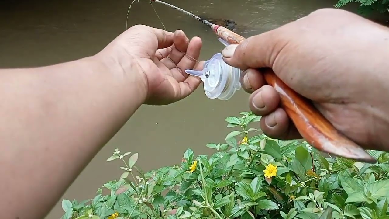 Mancing Udang Dapet Cana Juga 