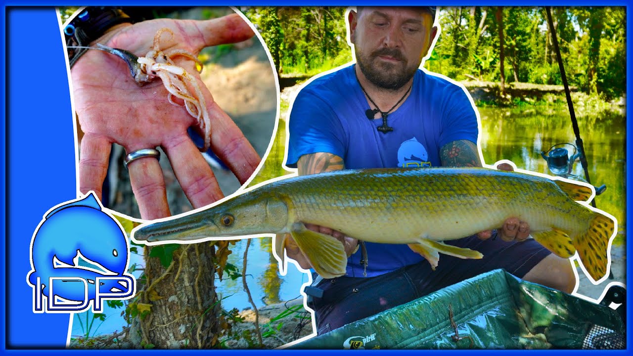 HO PESCATO UN PESCE ALLIGATORE! Pesci tropicali in Italia ai Laghi River Monsters - Specialist