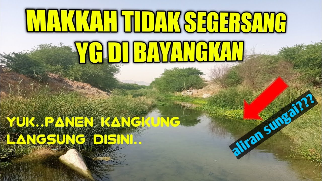 TERDAMPAR DI TENGAH HUTAN MAKKAH..TIBA2 NEMU SUNGAI PENUH DENGAN IKAN2 BESAR..MASYAALLAH  FAKTA UNIK