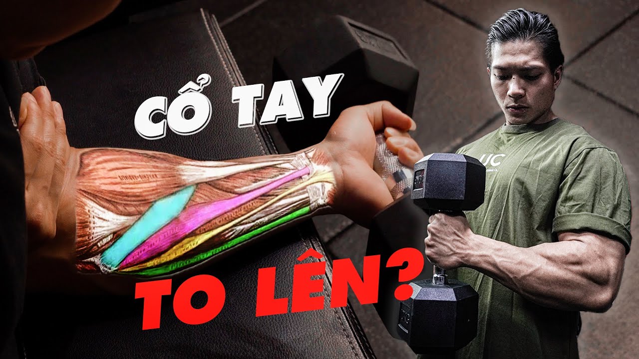 Làm Thế Nào Để Cổ Tay To Hơn - Các Bài Tập Cho Cẳng Tay | SmallGym