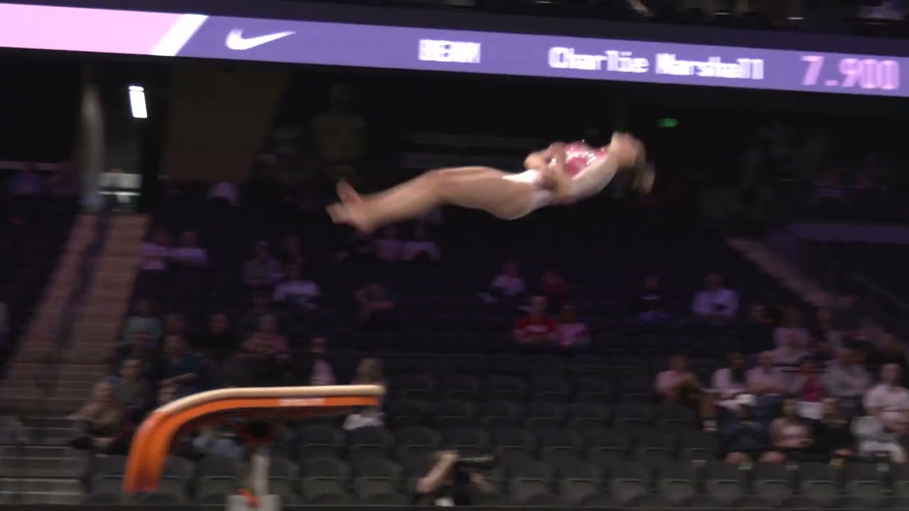 Annie Cole | Vault | 2026 Nastia Liukin Cup