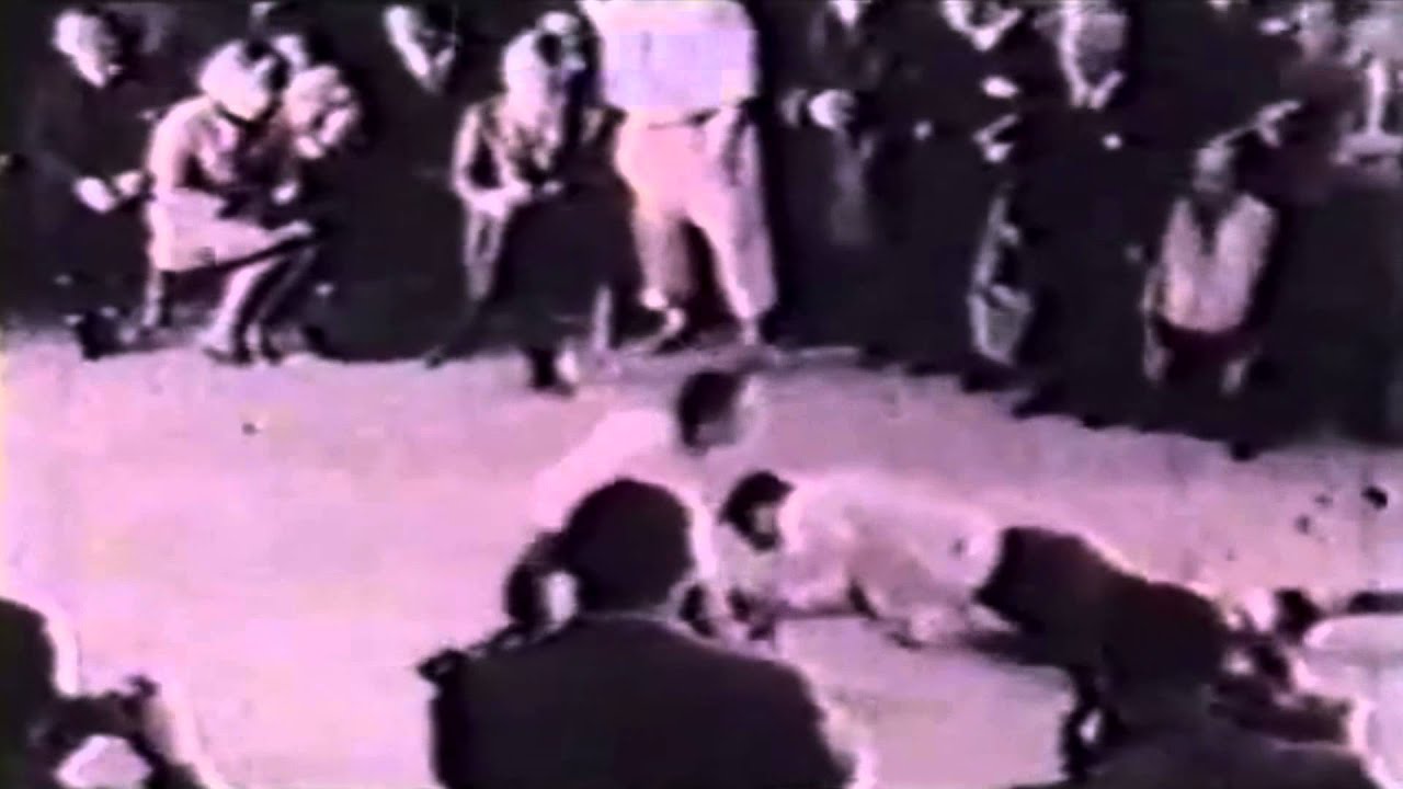 Bodyguard challenges Gozo Shioda