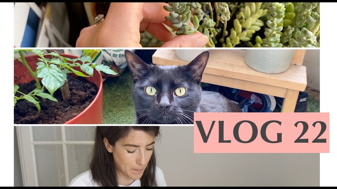 Vlog 22 - Entretien Sedum burrito