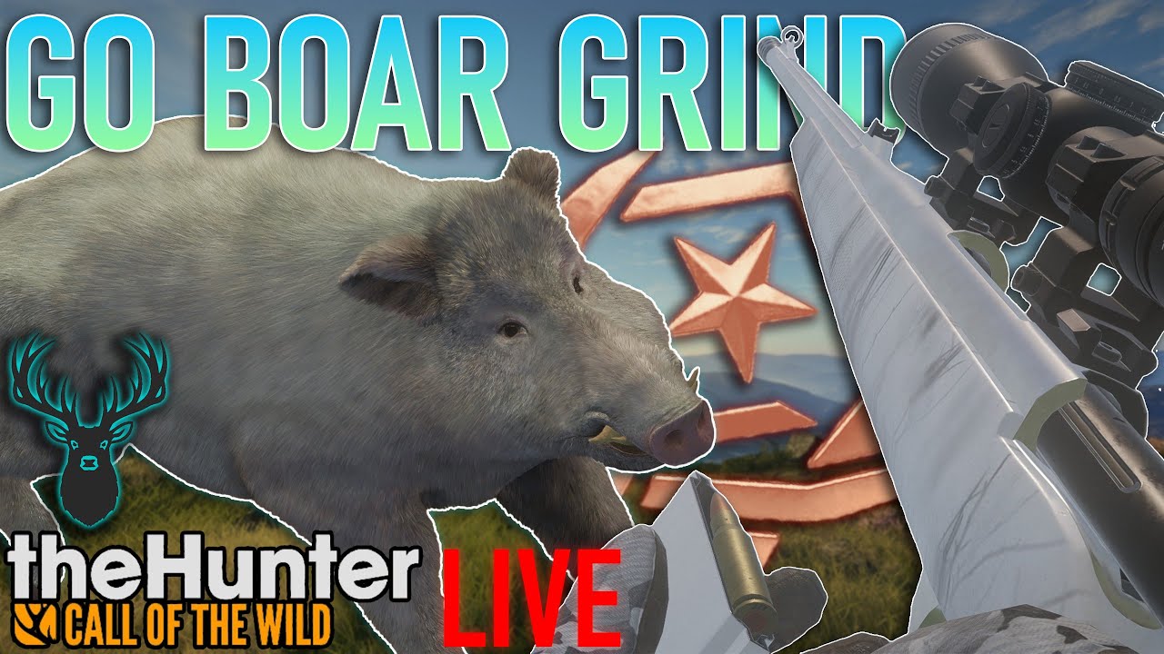 🔴 Great One Boar Speedrun | Herd Managed Boars On Cuatro  | theHunter Call of the wild | LIVE 🔴