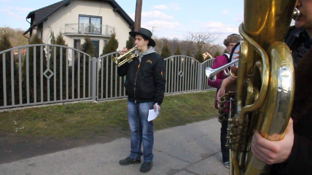 Wodzenie niedźwiedzia Sławików 2014