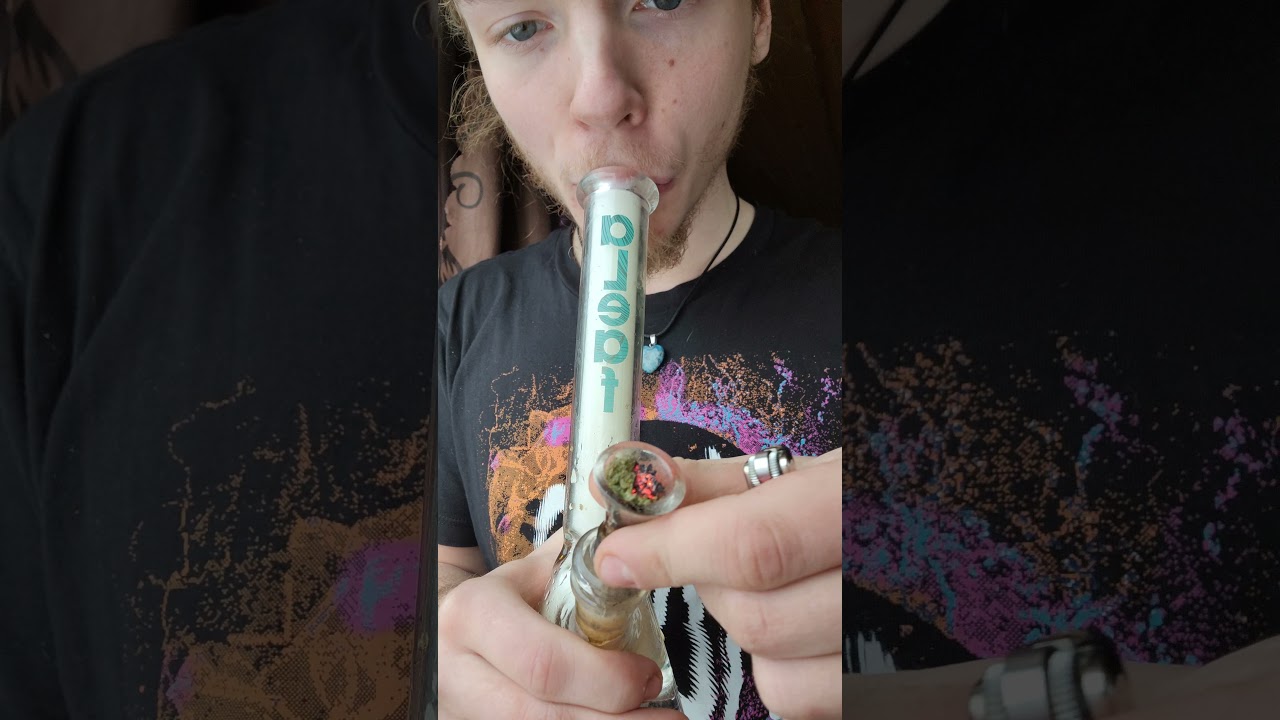 Lil Bong Rip