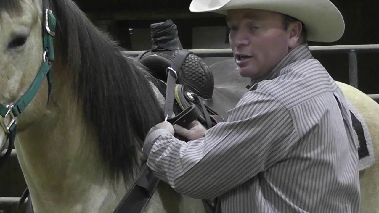 Fitting a Pulling Breast Collar