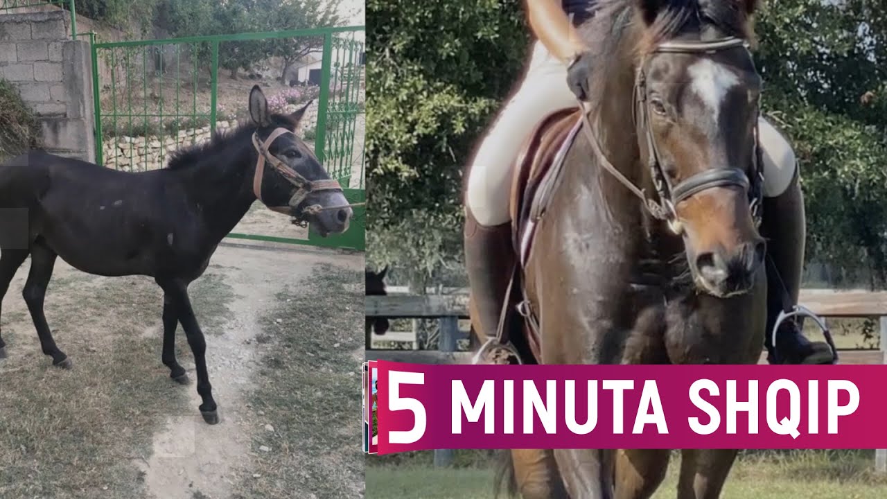 A e dini рse mushka nuk lind të vegjël?