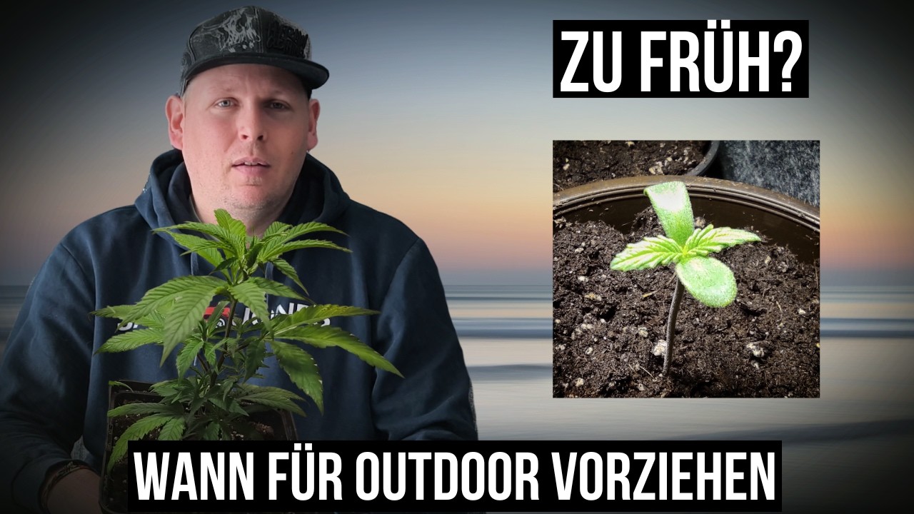 Wann Cannabis Samen vorziehen?🌱 🇩🇪 Outdoor Guide f&uuml;r Deutschland | #420 #grow