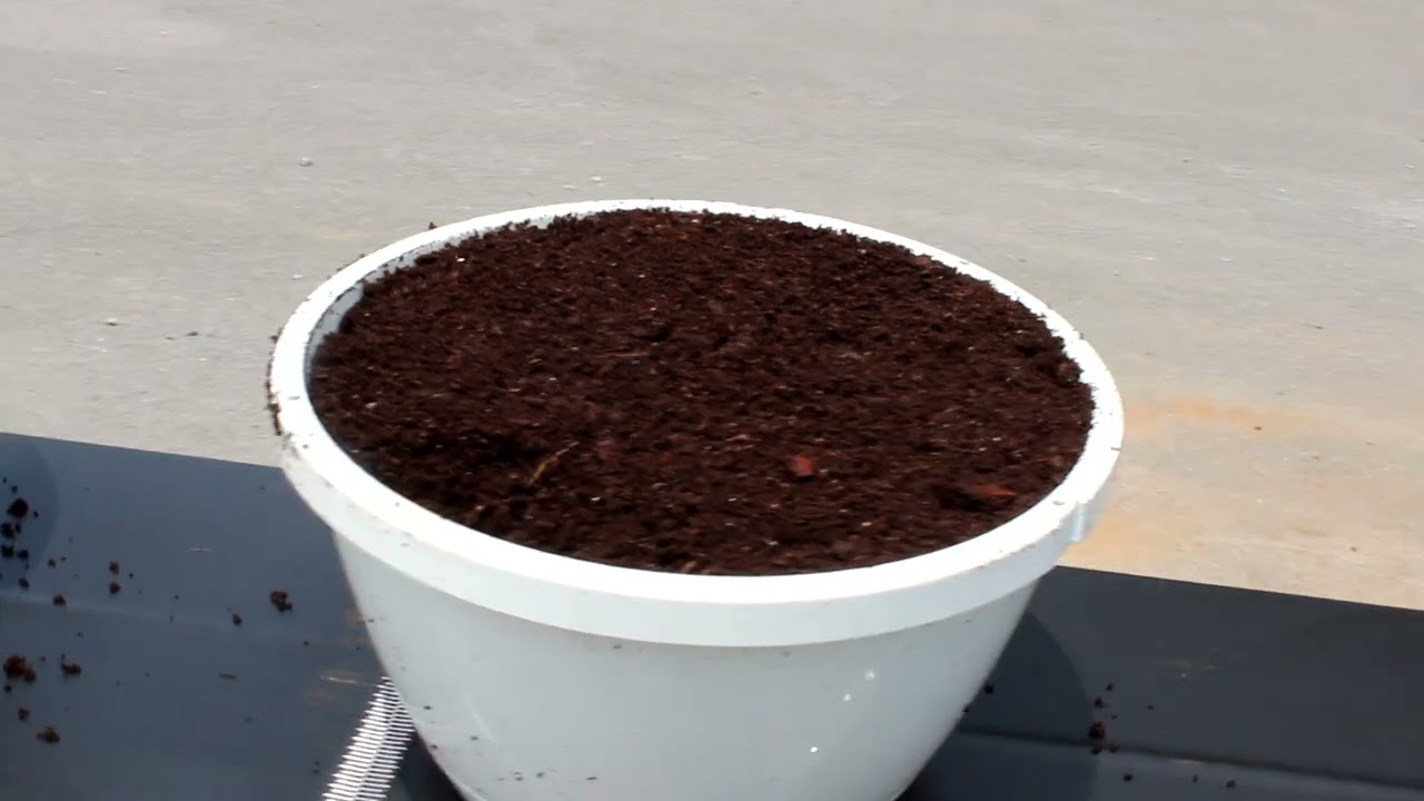 Bouldin & Lawson LLC - 131 Pro Flat and Pot Filling System