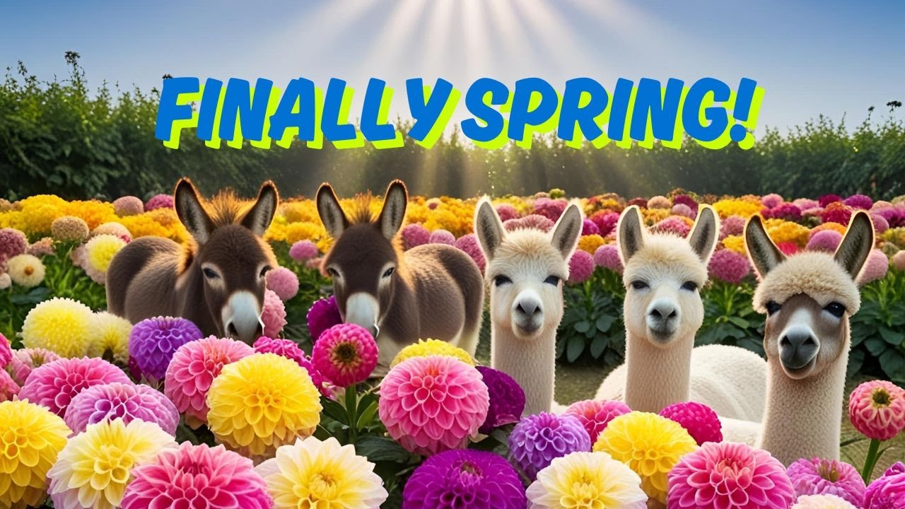 IT'S FINALLY SPRING!......... or is it?