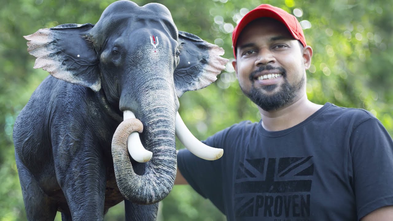 ആനപ്പാട്ട് 15  | പാമ്പാടി രാജൻ | Elephant Making | A tribute to Michael Jackson #aanamaker