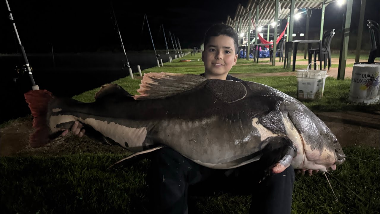 CLUBE PESCAR 2025🎣 pescaria INÉDITA 8 pirararas acima de 40kg 🔥 ( 45,44,44,44,43,43,41,40 kg) 