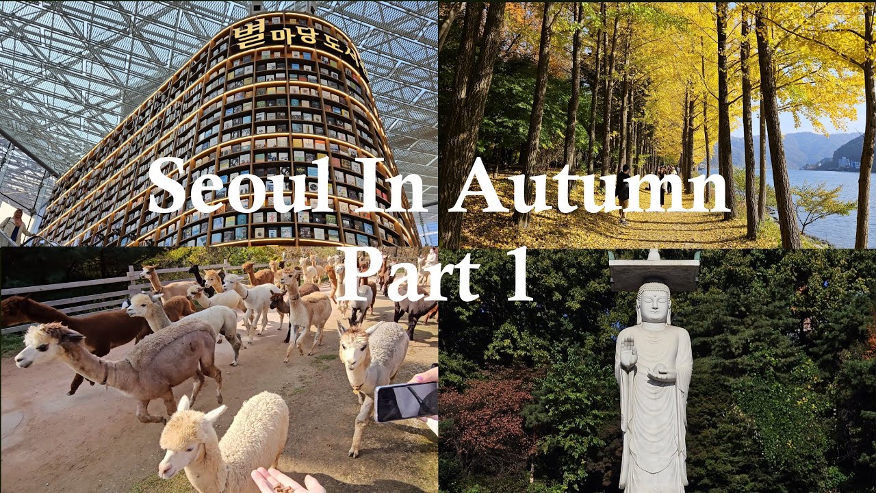 Seoul Travel Guide Part 1: Gangnam, Nami Island, Alpaca World, Garden of Morning Calm, Olympic Park