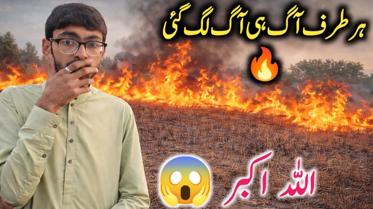 Jungle mein Aag Lag Gai 😱|Havy fire Everywhere🔥|WQ VILOG