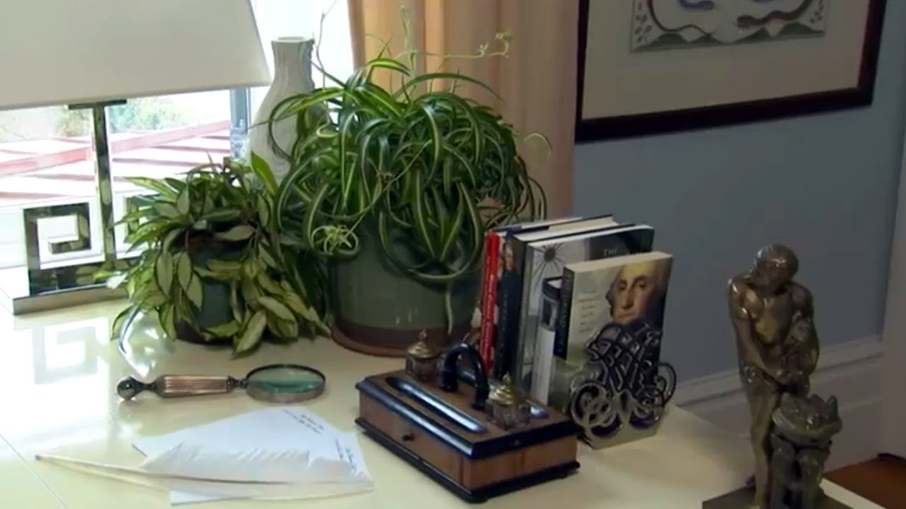 Air Purification House Plants | At Home With P. Allen