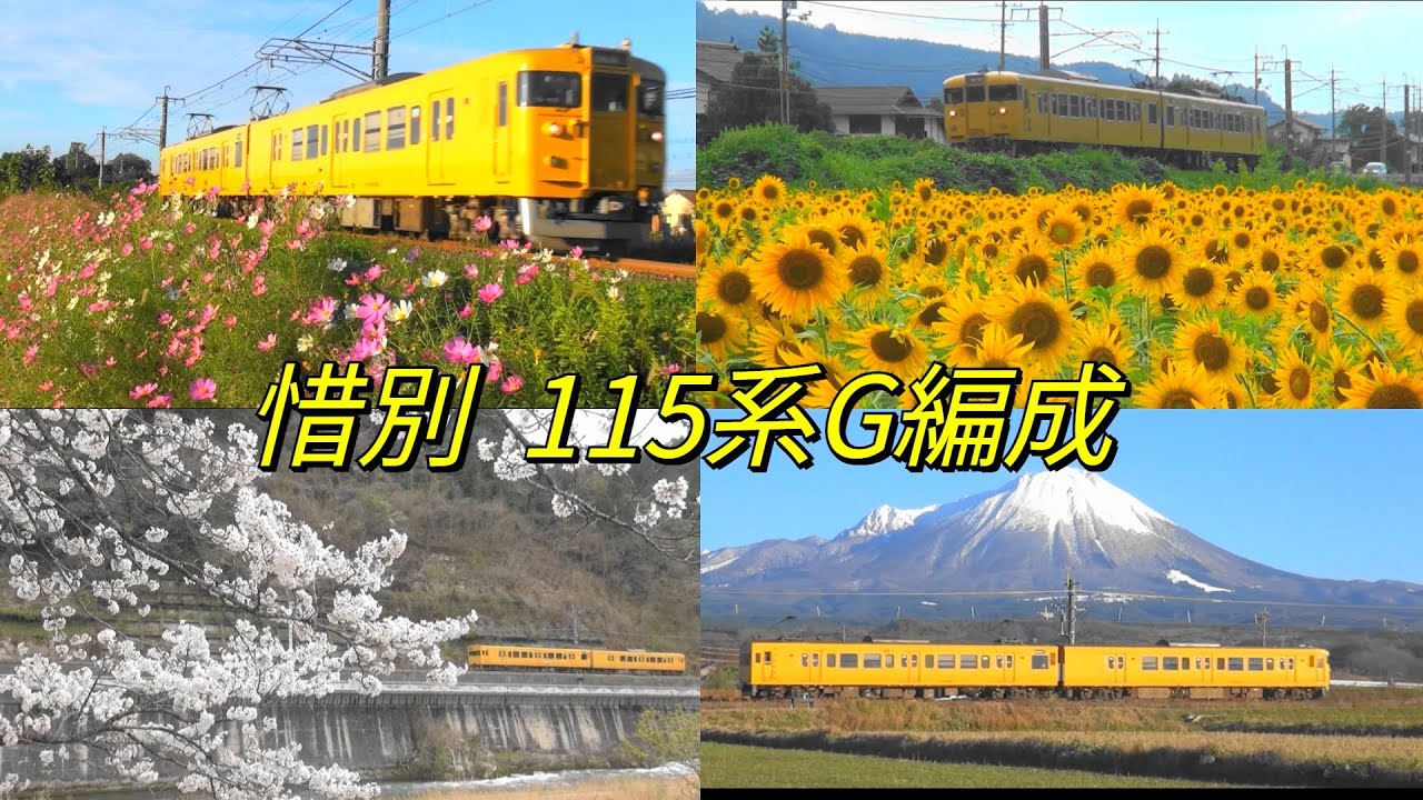 【惜別】１１５系電車Ｇ編成～四季の花々＆風景と共に（２０２５年１～１２月）