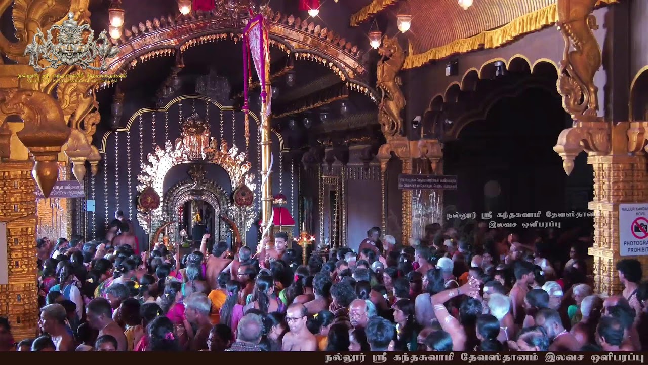Nallur Sri Kandaswamy Devasthanam 16th Day Morning Festival 2025 Free Live Broadcast
