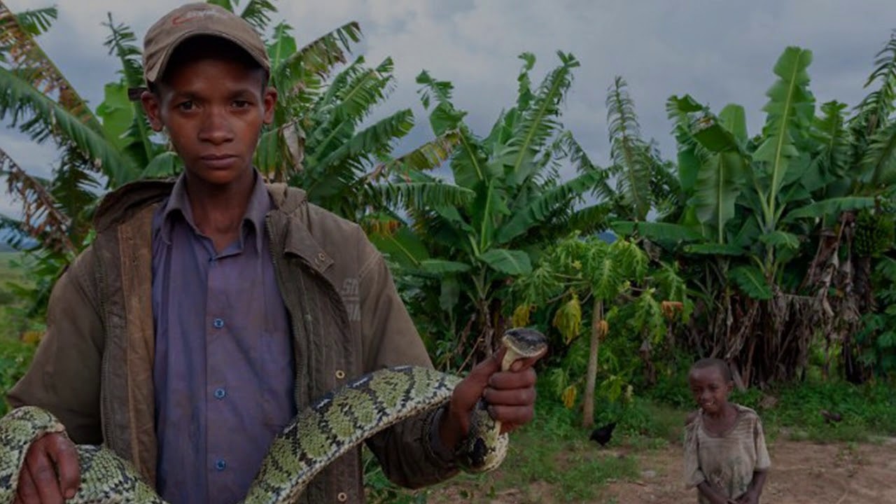 Исключительный остров Мадагаскар