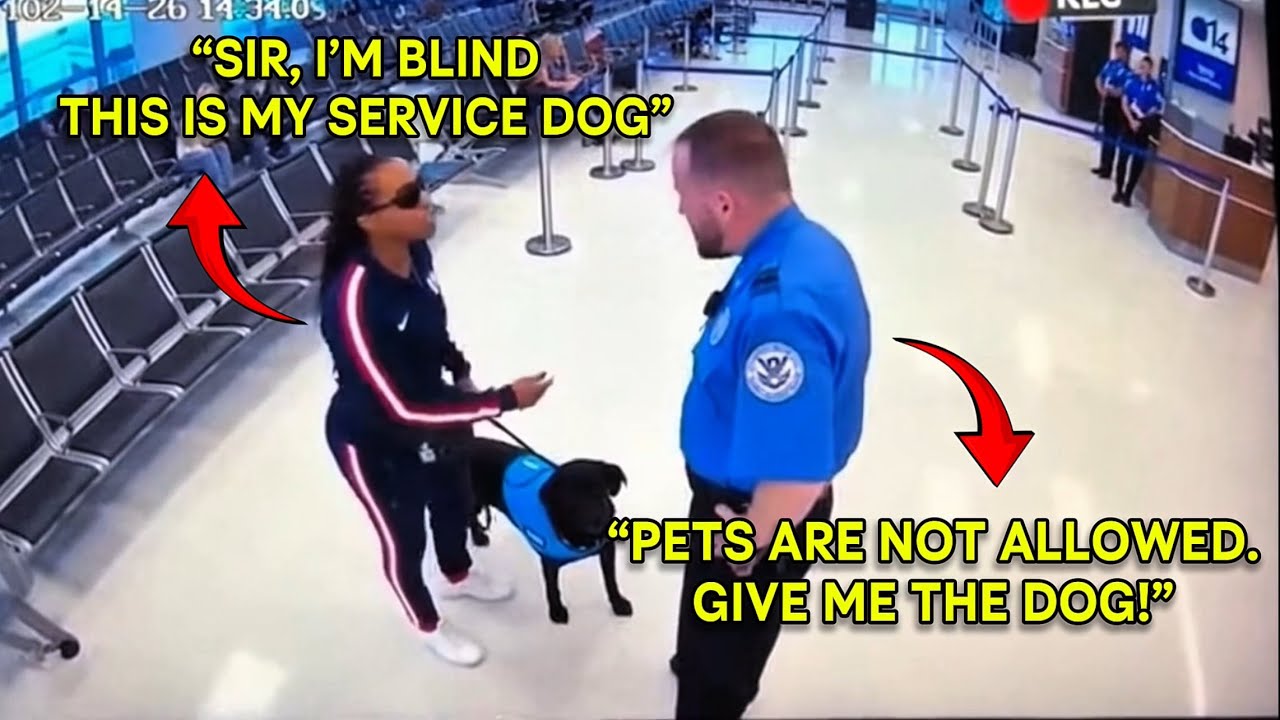 TSA Agent Takes Guide Dog from Black Paralympian — She Wins $16.5M Settlement