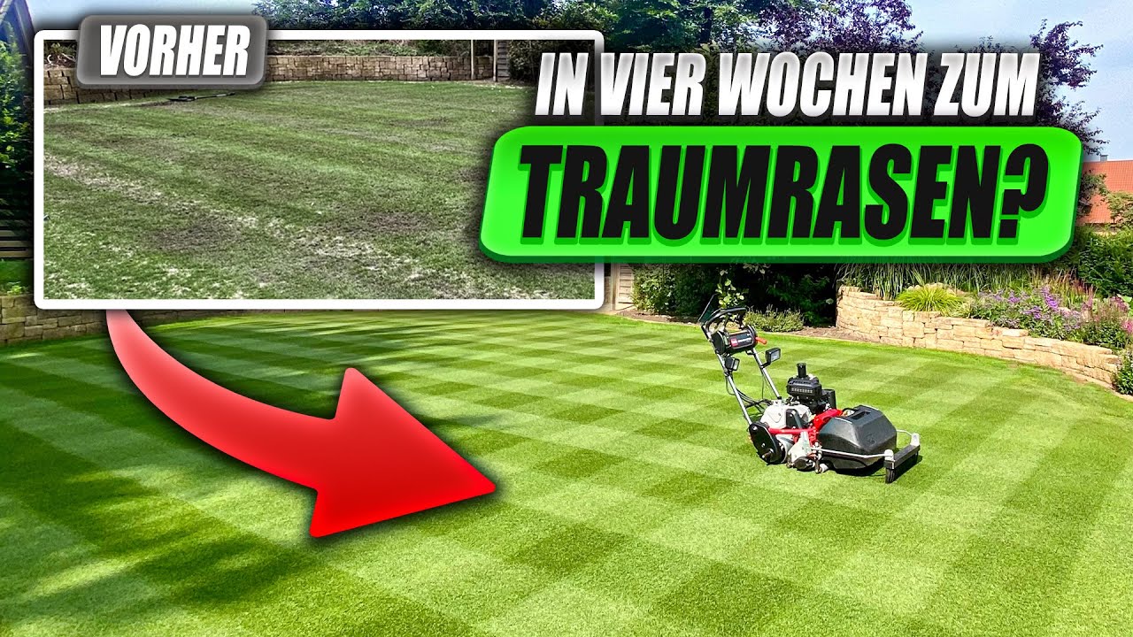 Rasenpflege im Frühling: In VIER Wochen vom Desaster ZUM 