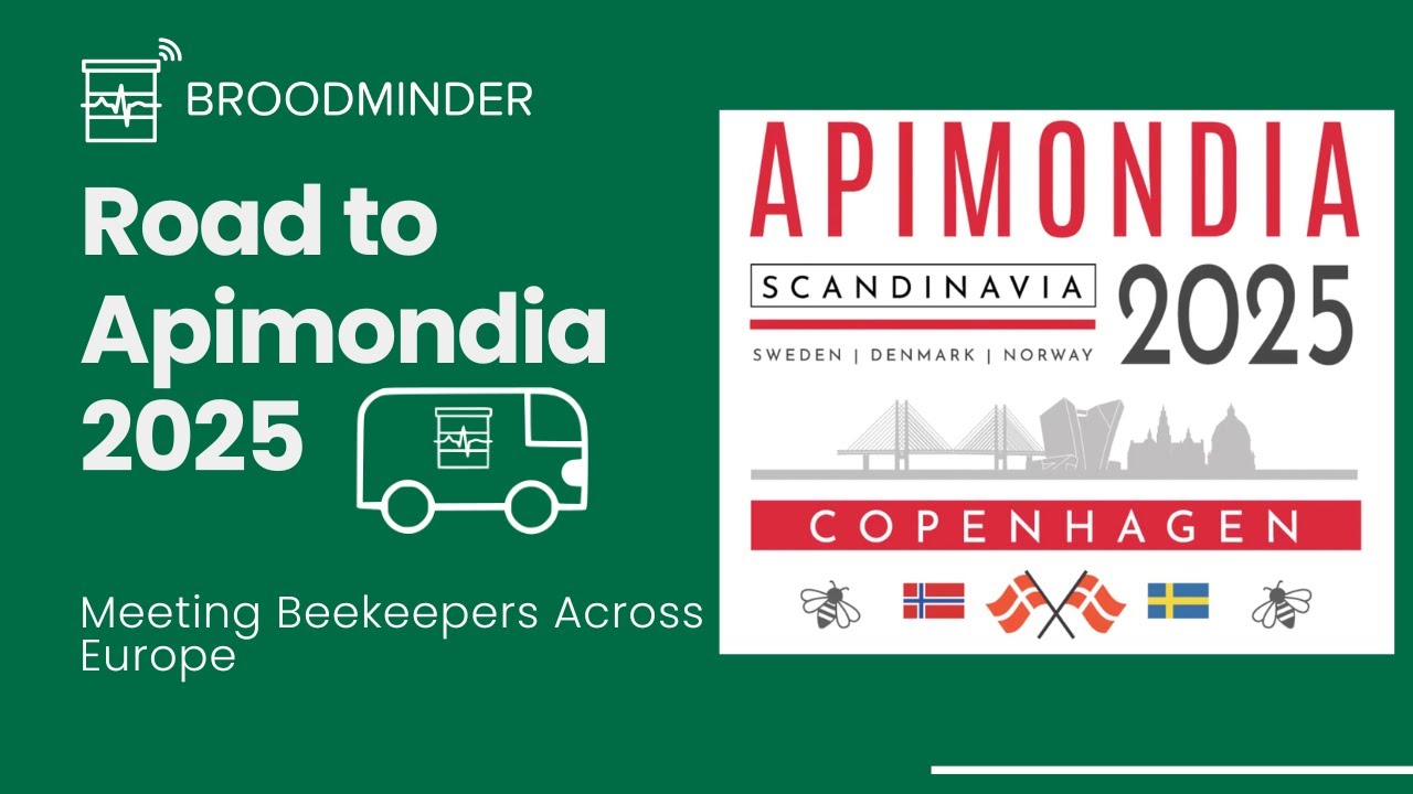 Road to Apimondia 2025 | Meeting Beekeepers Across Europe